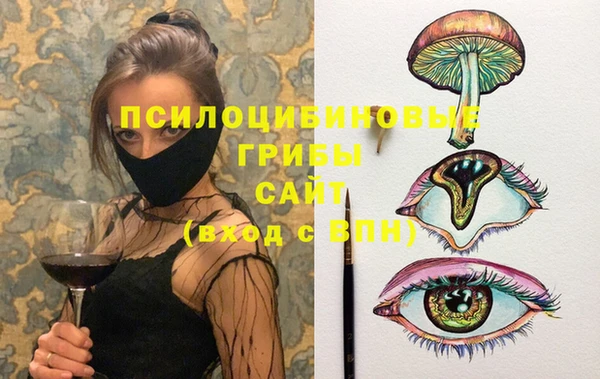 твердый Абаза
