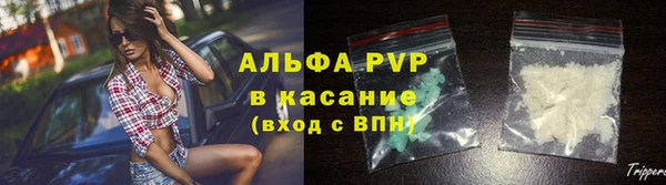 твердый Абаза