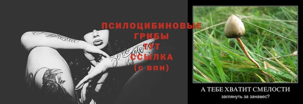 твердый Абаза