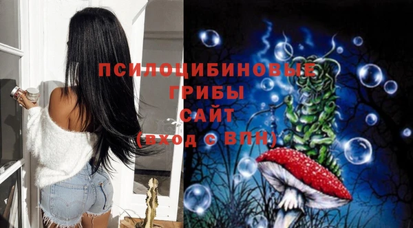 ешки Нея