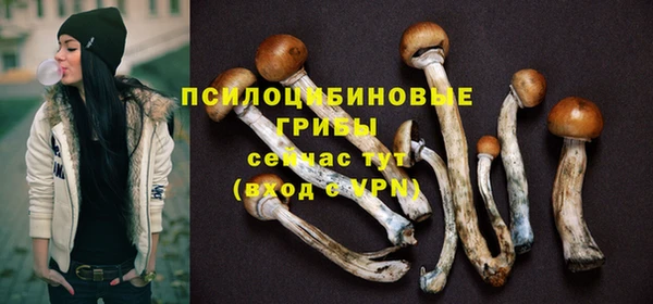ешки Нея